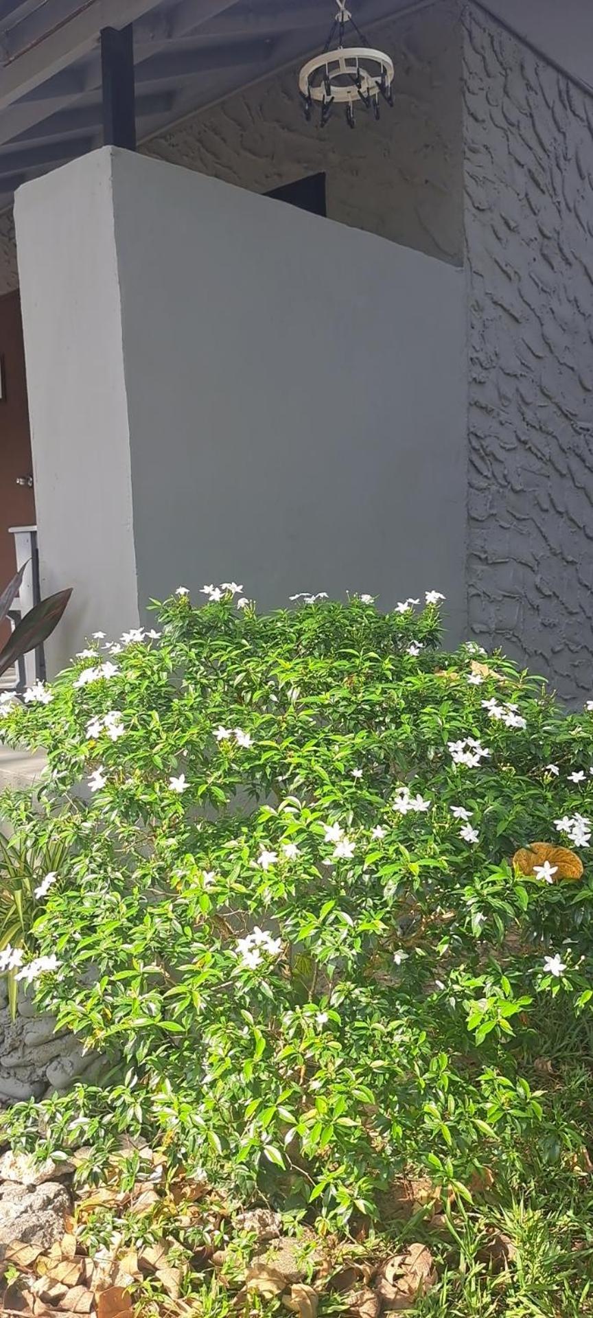 Siam Flora Resort เกาะลันตา ภายนอก รูปภาพ